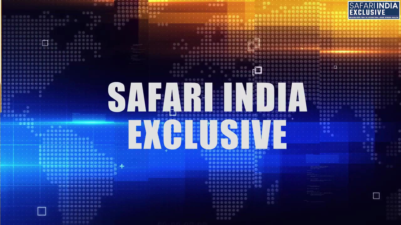 Safari India
